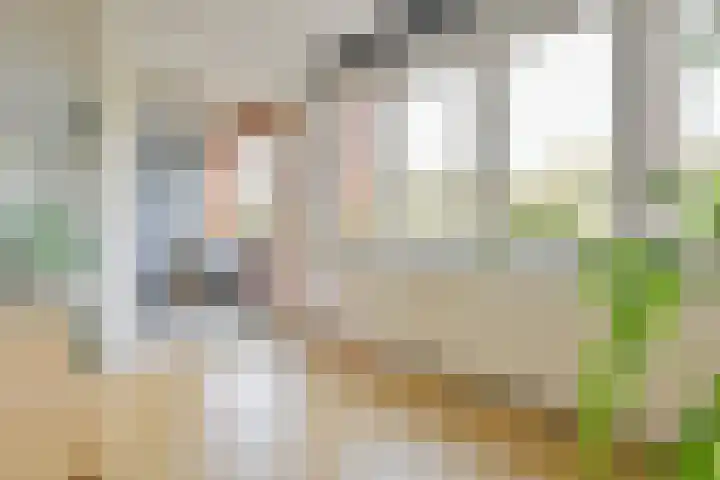 Leeuwendalersweg 668 Amsterdam thumbnail 10