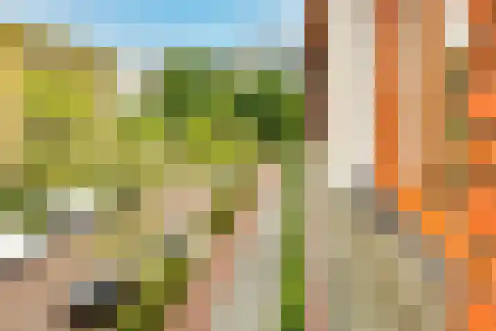 Leeuwendalersweg 668 Amsterdam thumbnail 18