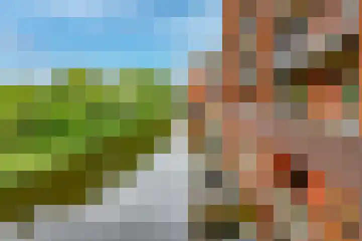 Leeuwendalersweg 668 Amsterdam thumbnail 19