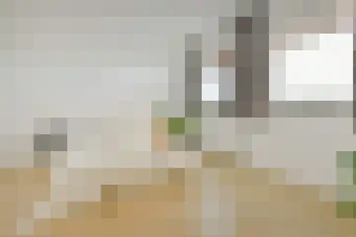 Leeuwendalersweg 668 Amsterdam thumbnail 5