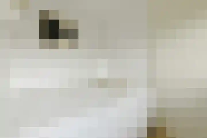 Leeuwendalersweg 668 Amsterdam thumbnail 9