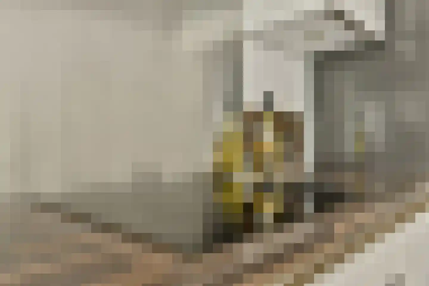 Leeuwendalersweg 681 Amsterdam thumbnail 11