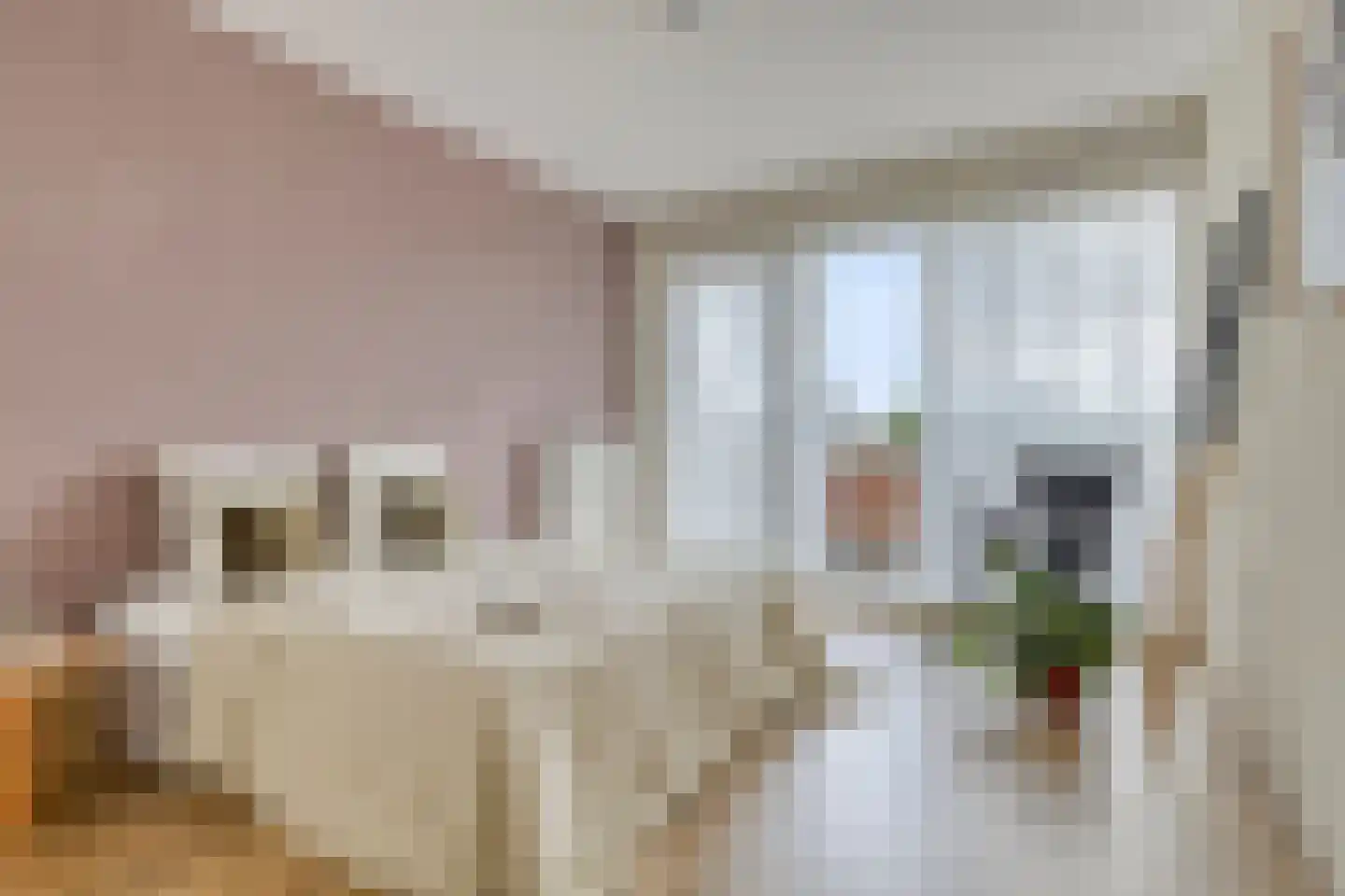 Leeuwendalersweg 694 Amsterdam thumbnail 13