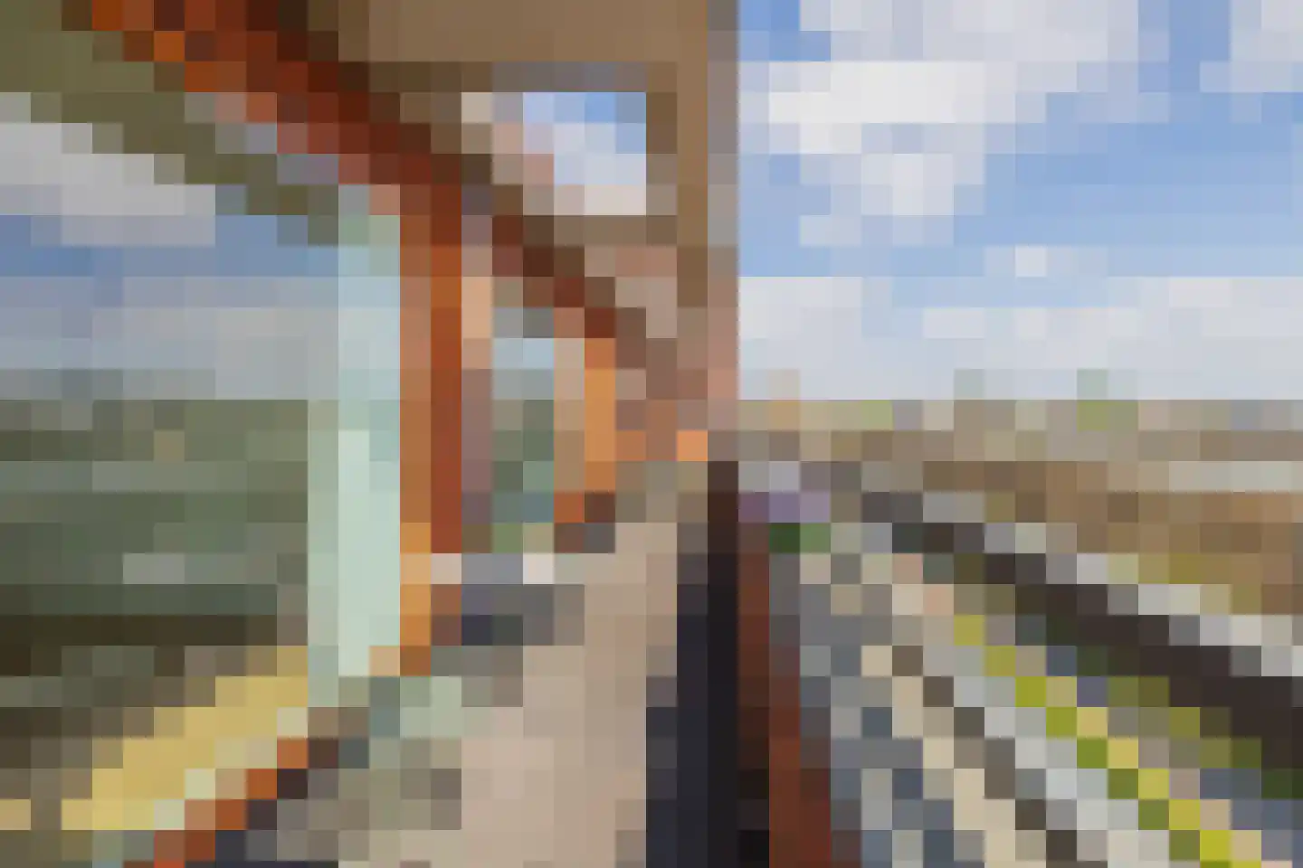 Leeuwendalersweg 694 Amsterdam thumbnail 24
