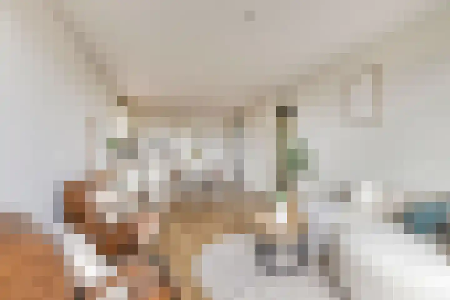 Leeuwendalersweg 694 Amsterdam thumbnail 5