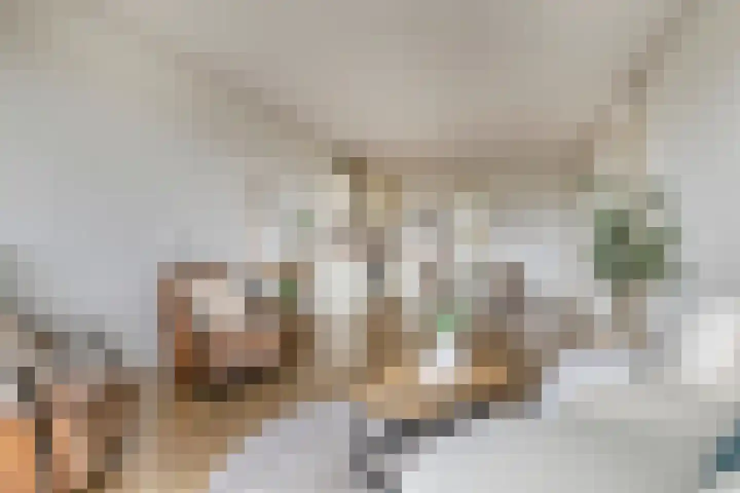Leeuwendalersweg 694 Amsterdam thumbnail 6