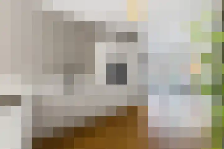 Leeuwendalersweg 721 Amsterdam thumbnail 11