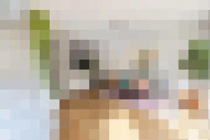 Leeuwendalersweg 721 Amsterdam thumbnail 14