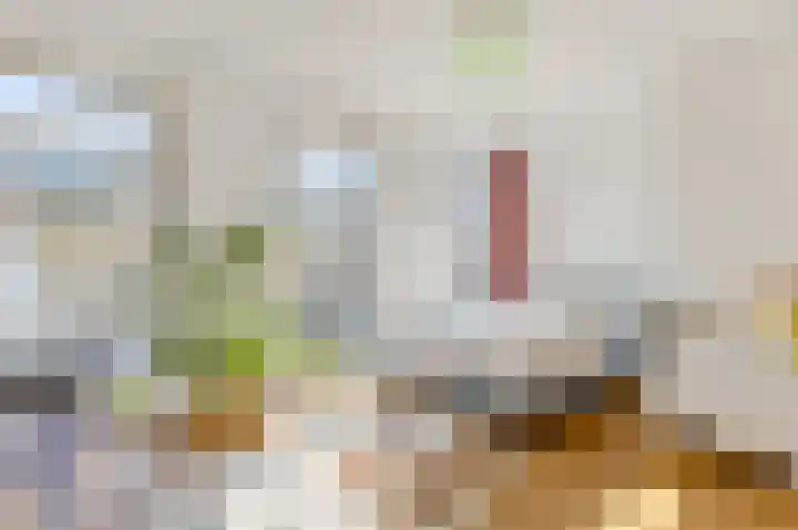 Leeuwendalersweg 721 Amsterdam thumbnail 19