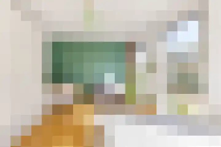 Leeuwendalersweg 721 Amsterdam thumbnail 20