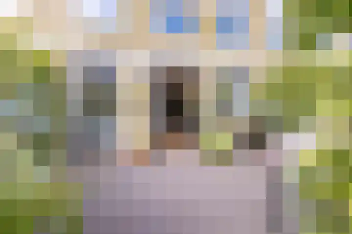 Leeuwendalersweg 721 Amsterdam thumbnail 24