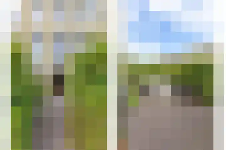 Leeuwendalersweg 721 Amsterdam thumbnail 5