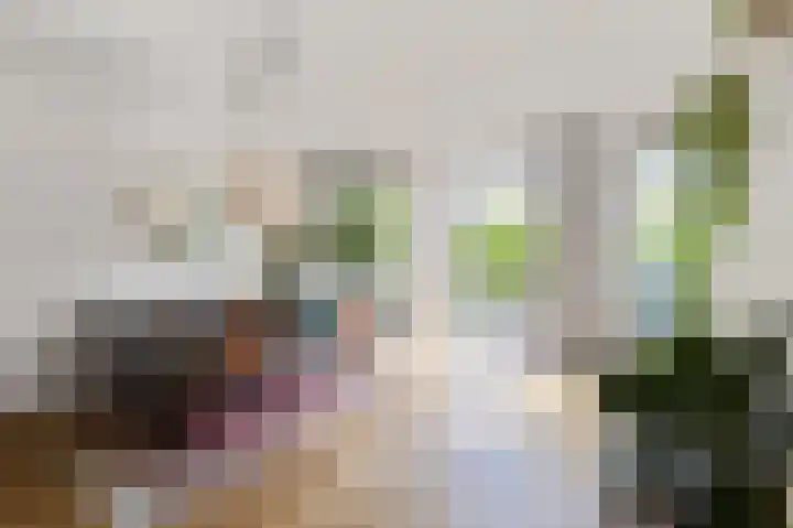 Leeuwendalersweg 721 Amsterdam thumbnail 6