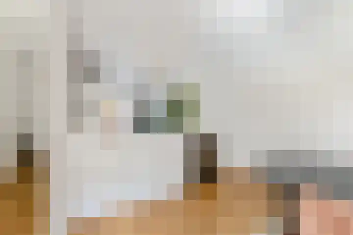 Leeuwendalersweg 721 Amsterdam thumbnail 9