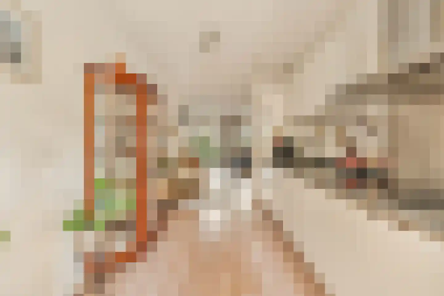 Leeuwendalersweg 737 Amsterdam thumbnail 13