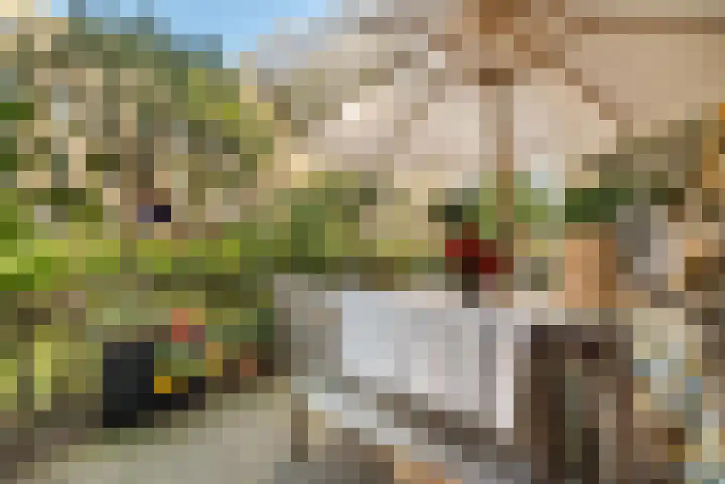Leeuwendalersweg 737 Amsterdam thumbnail 17