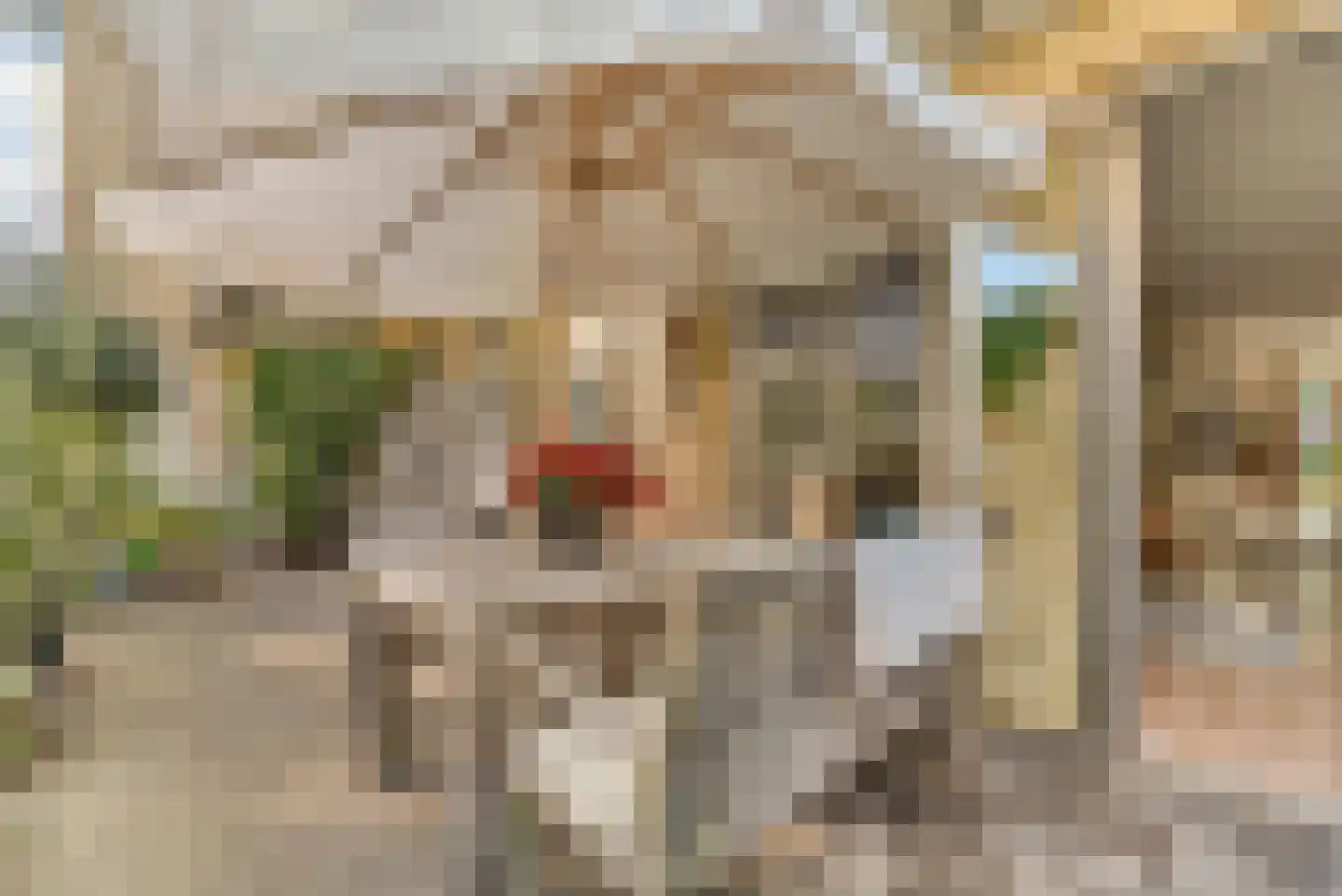 Leeuwendalersweg 737 Amsterdam thumbnail 18