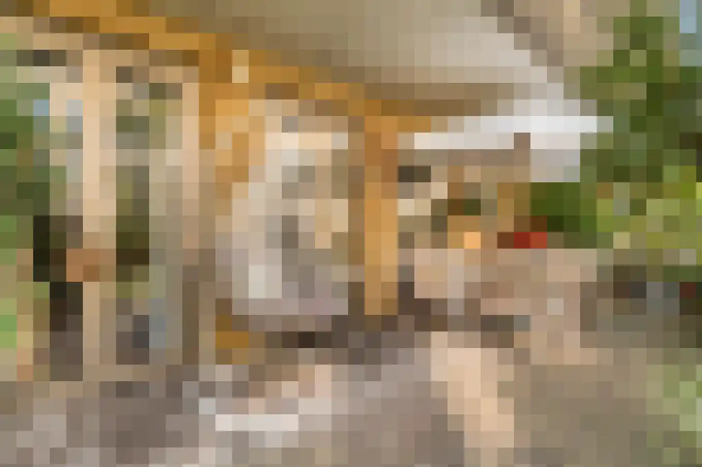 Leeuwendalersweg 737 Amsterdam thumbnail 5