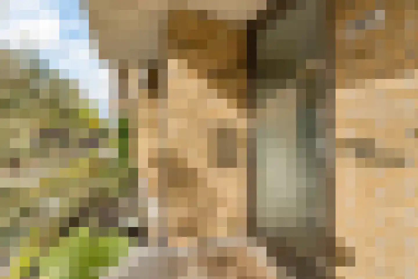 Leeuwendalersweg 737 Amsterdam thumbnail 8