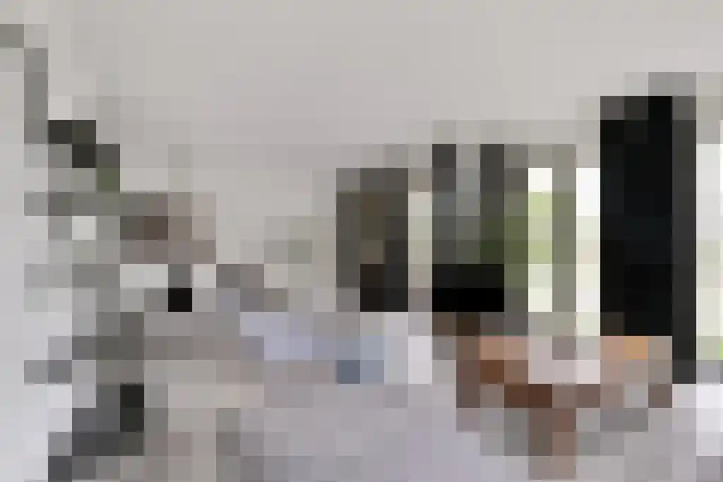 Leeuwendalersweg 741 Amsterdam thumbnail 6