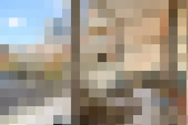 Leeuwendalersweg 75 Amsterdam thumbnail 10