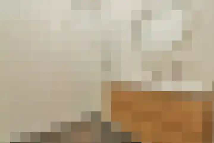 Leeuwendalersweg 75 Amsterdam thumbnail 15