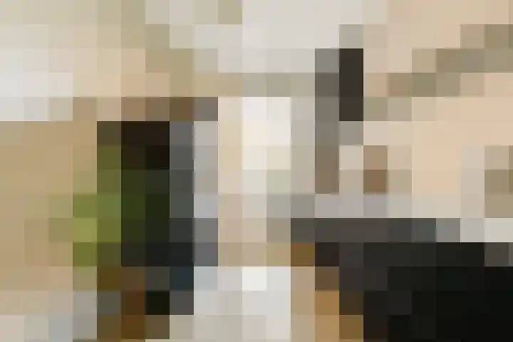 Leeuwendalersweg 75 Amsterdam thumbnail 8