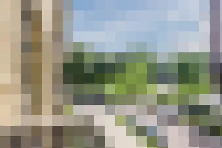 Leeuwendalersweg 773 Amsterdam thumbnail 10