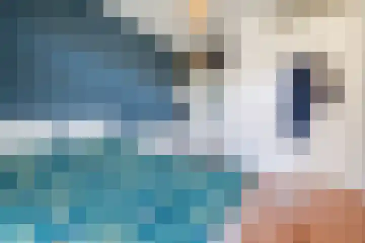 Leeuwendalersweg 773 Amsterdam thumbnail 14