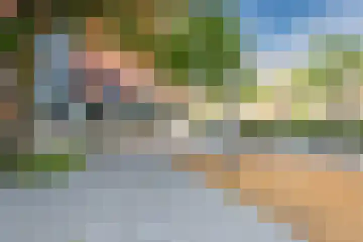 Leeuwendalersweg 773 Amsterdam thumbnail 28