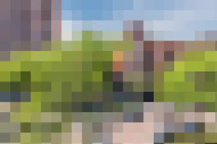 Leeuwendalersweg 773 Amsterdam thumbnail 29