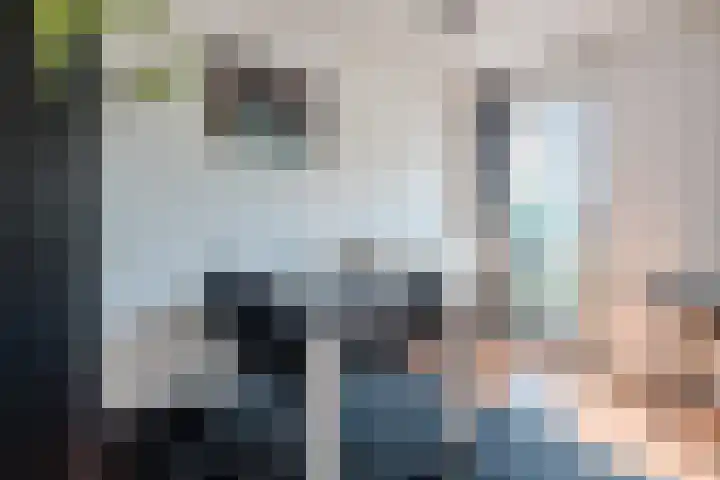 Leeuwendalersweg 773 Amsterdam thumbnail 4