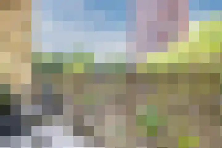 Leeuwendalersweg 773 Amsterdam thumbnail 9