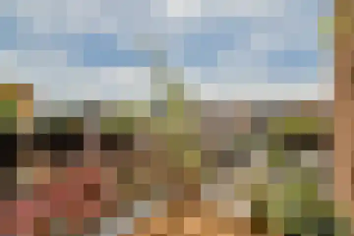 Leeuwendalersweg 93 Amsterdam thumbnail 10