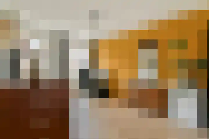 Leeuwendalersweg 93 Amsterdam thumbnail 15