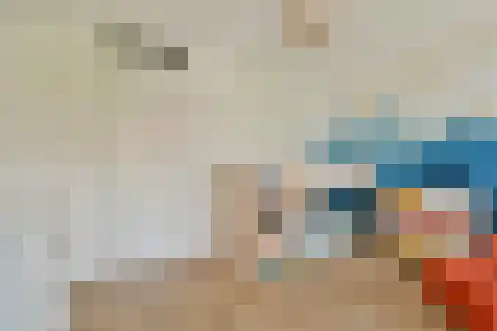 Leeuwendalersweg 93 Amsterdam thumbnail 18