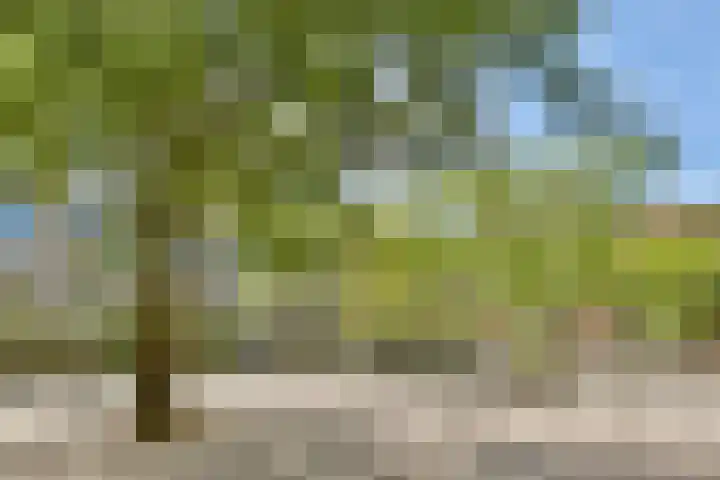 Leeuwendalersweg 93 Amsterdam thumbnail 20