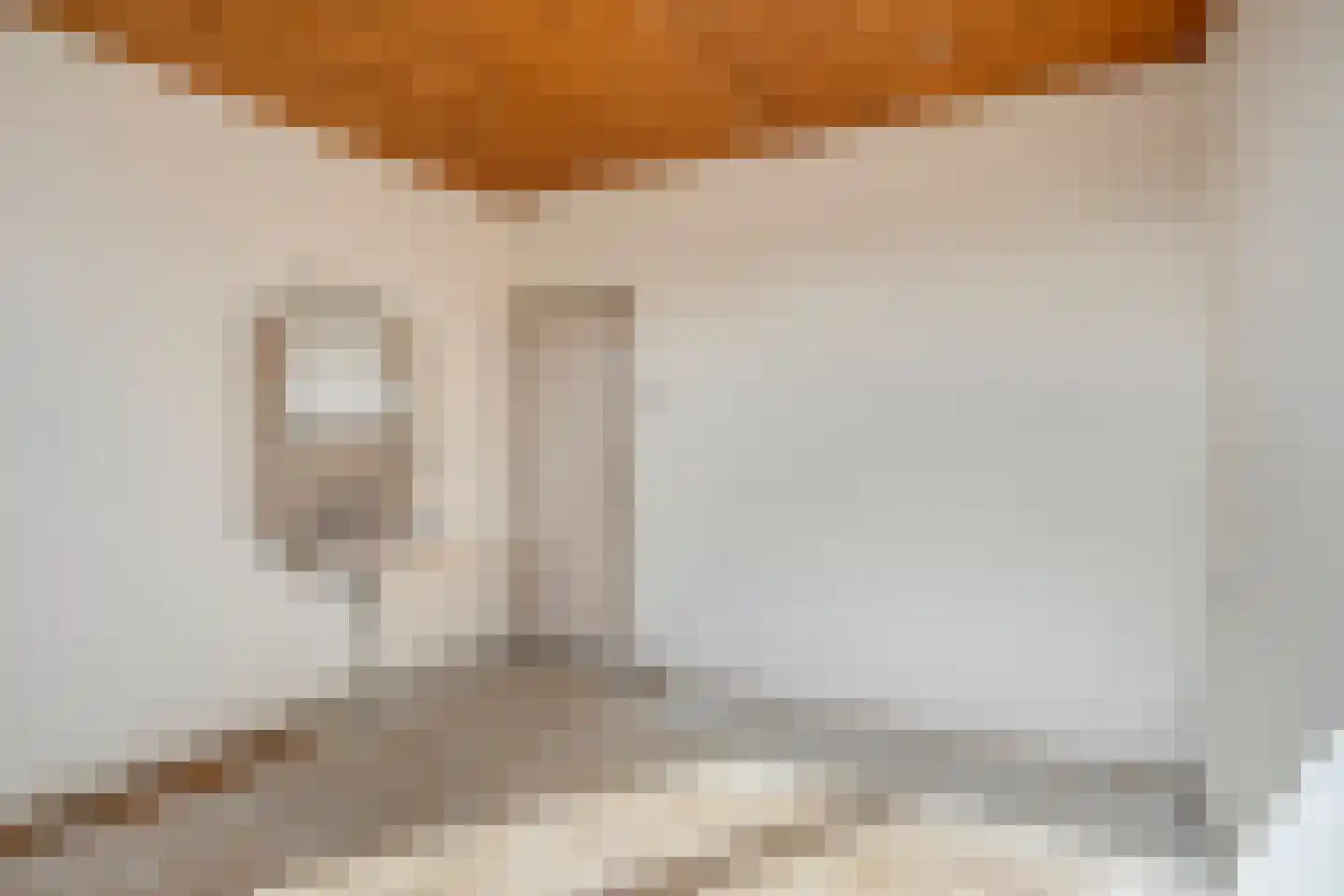 Leeuwengrootstede 30 Cuijk thumbnail 21