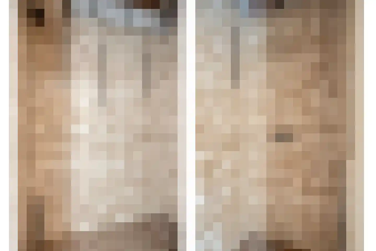 Leeuwengrootstede 30 Cuijk thumbnail 25