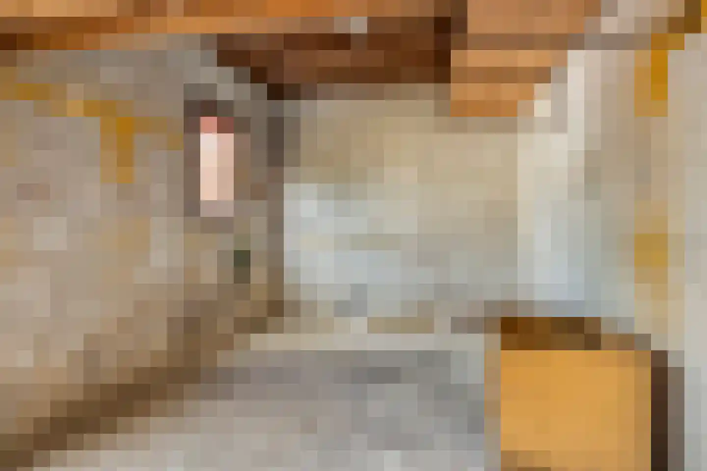 Leeuwengrootstede 30 Cuijk thumbnail 35