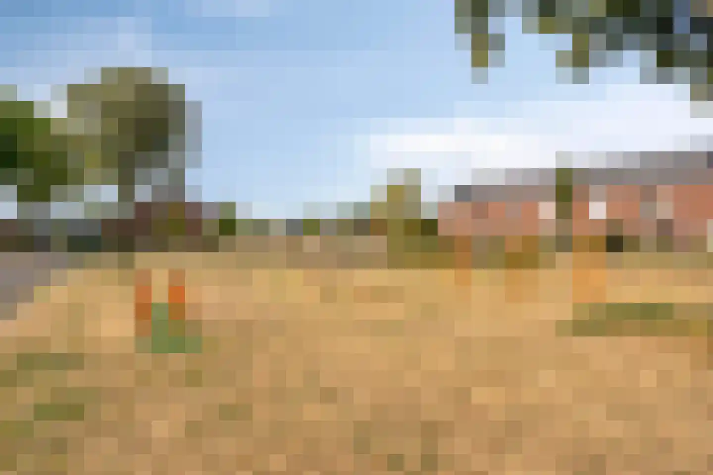 Leeuwengrootstede 30 Cuijk thumbnail 39