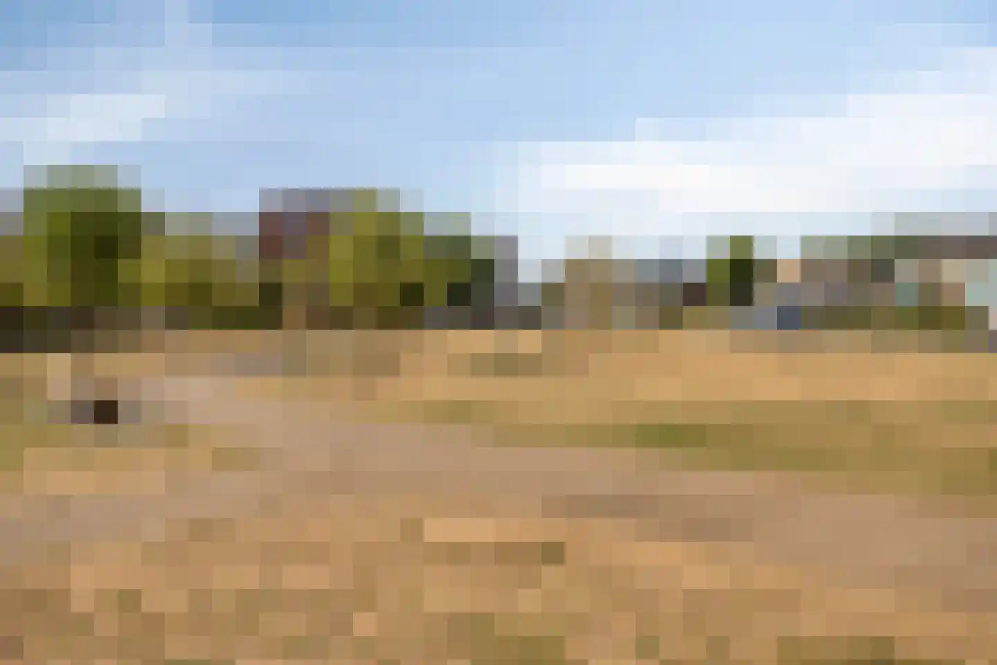 Leeuwengrootstede 30 Cuijk thumbnail 41