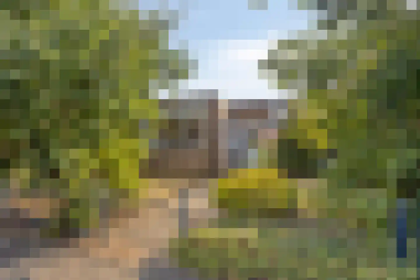 Leeuwengrootstede 30 Cuijk thumbnail 8