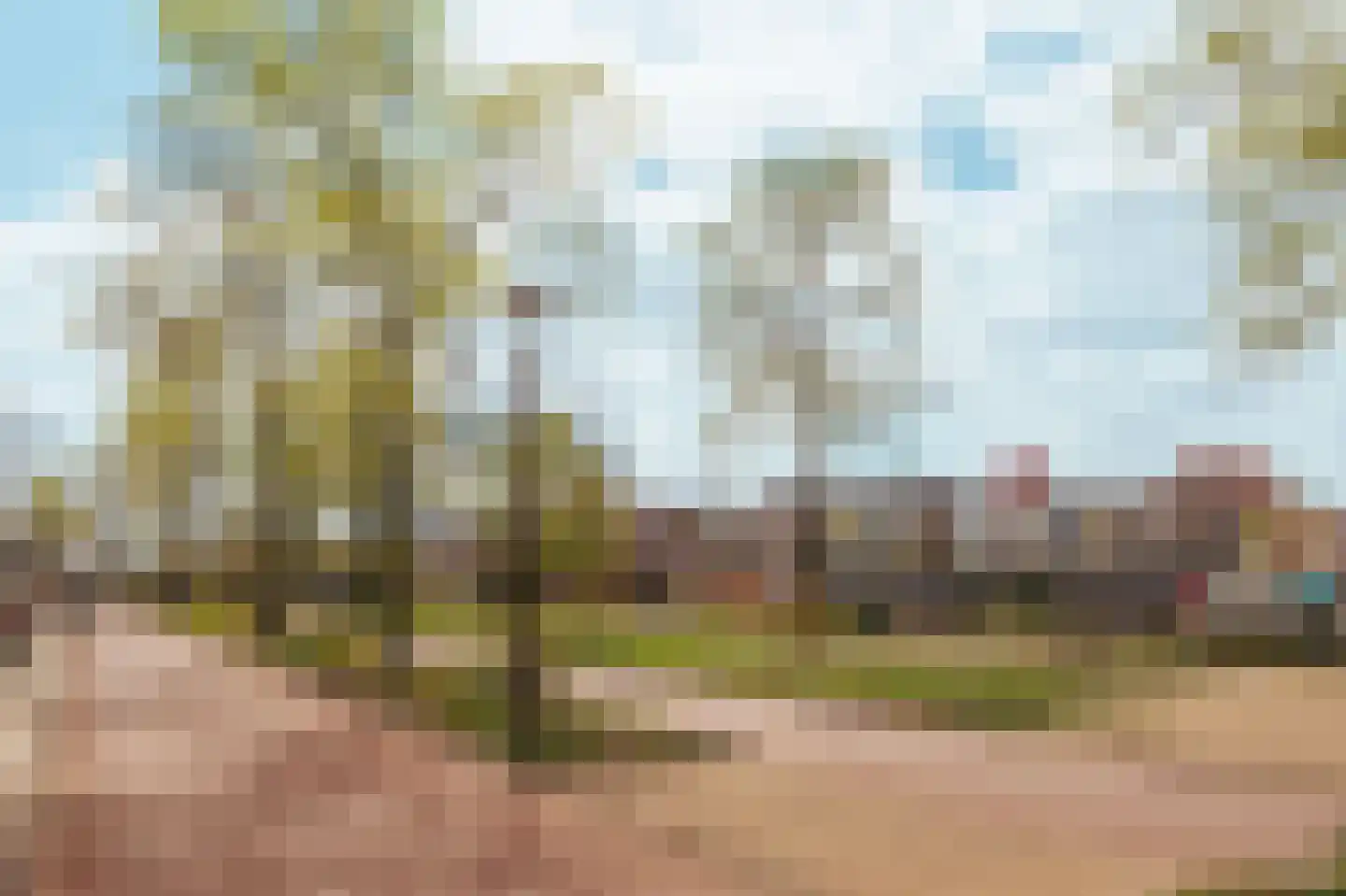 Leeuwenhoekstraat 13 Amsterdam thumbnail 22