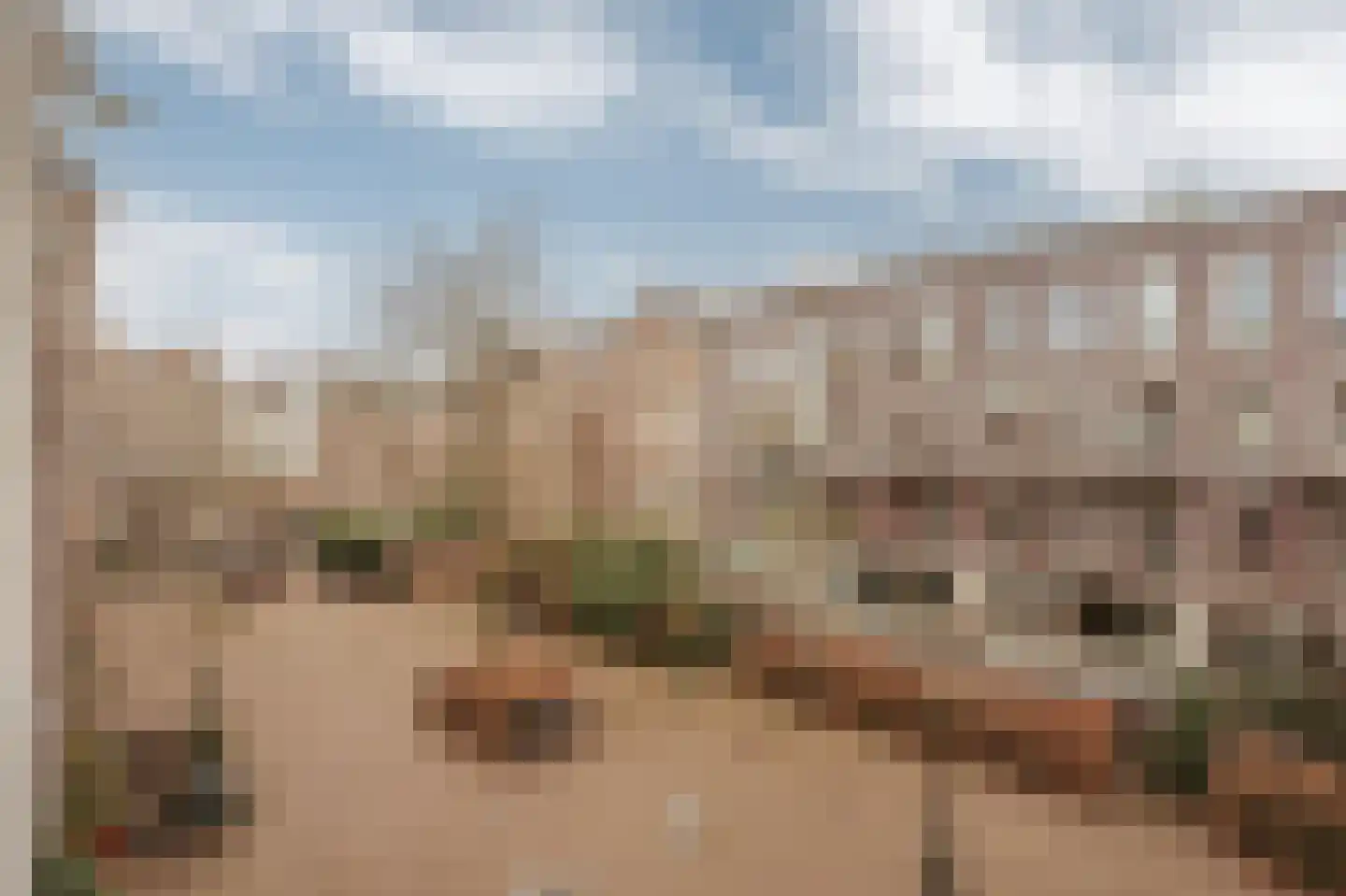 Leeuwenhoekstraat 13 Amsterdam thumbnail 4