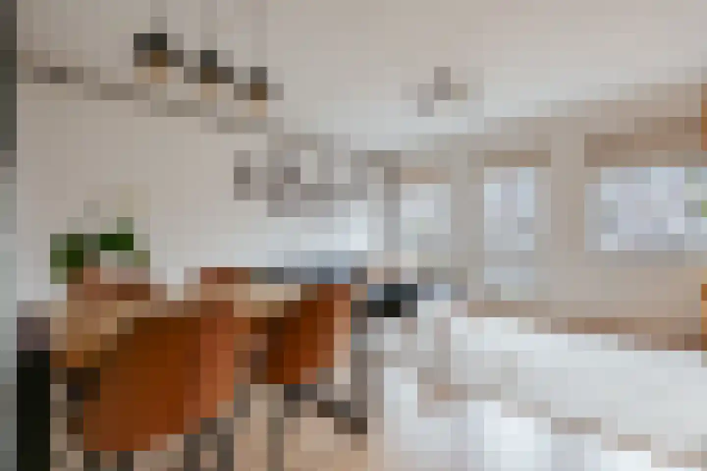Leeuwenhoekstraat 13 Amsterdam thumbnail 5