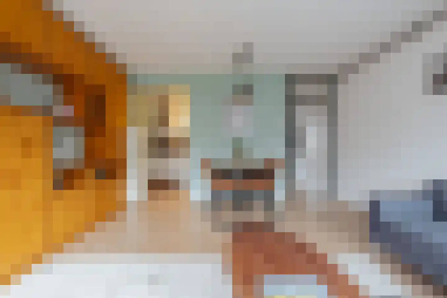 Leeuwenhoekstraat 13 Amsterdam thumbnail 9