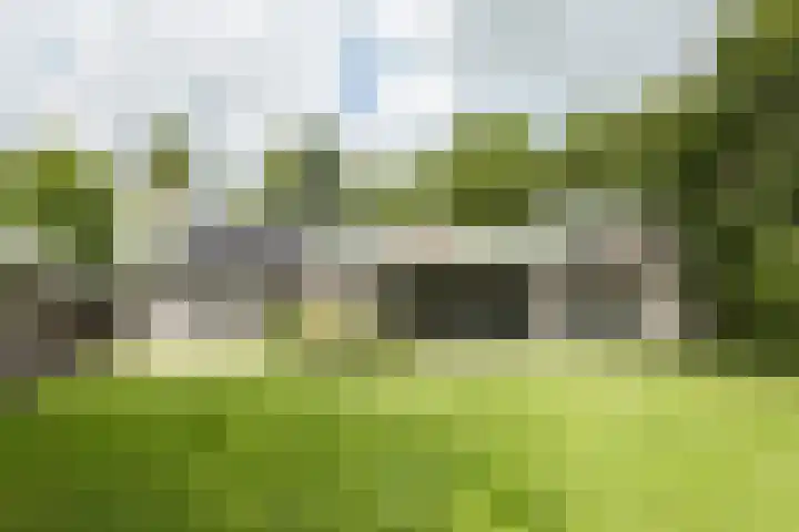 Leeuwenhoekweg 50 in Bergschenhoek