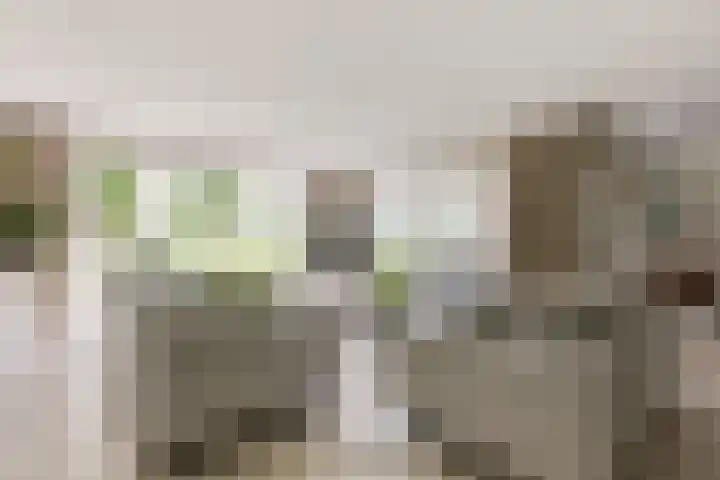 Leeuwenhoekweg 50 Bergschenhoek thumbnail 11