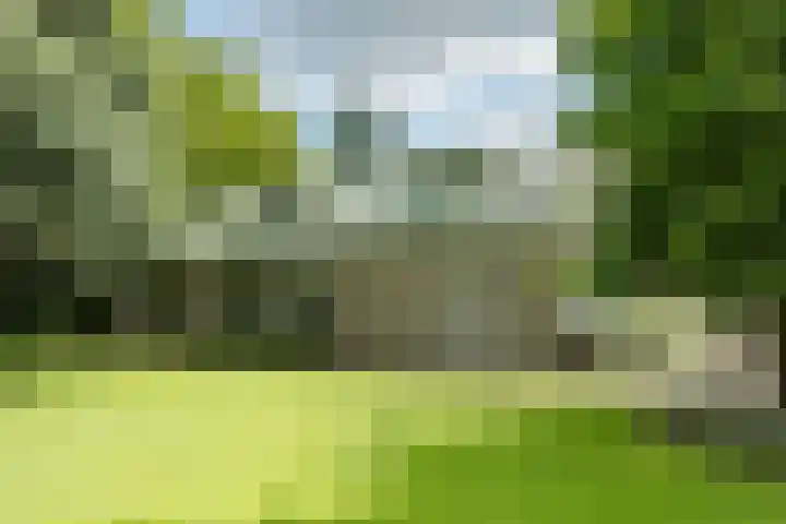 Leeuwenhoekweg 50 Bergschenhoek thumbnail 13